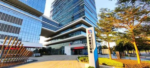 掘金數字經濟，肇慶掌握發展秘鑰