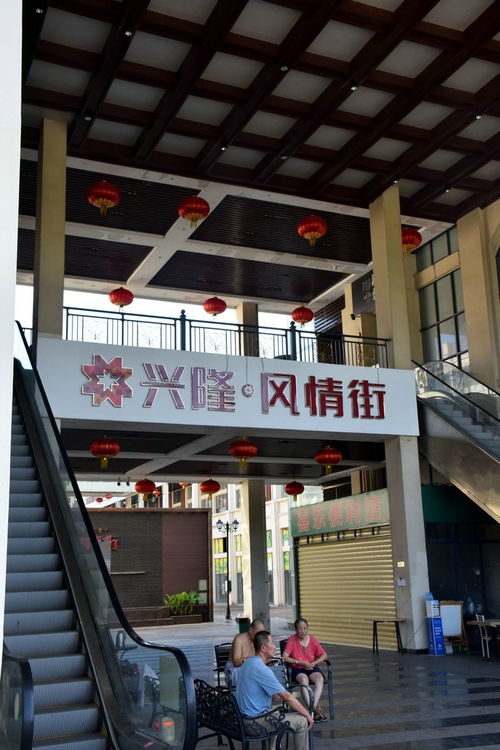 2024夏 海南環(huán)島行 64 在興隆喝咖啡，瑞閣興的味道